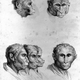 Illustration for article titled Baroque-Era Drawings Reveal Early Ideas About Evolution